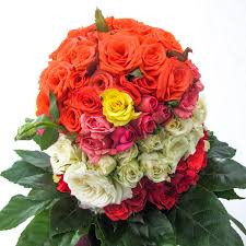 دانلود آهنگ آواره‌ام یار نگینه امانقلوا